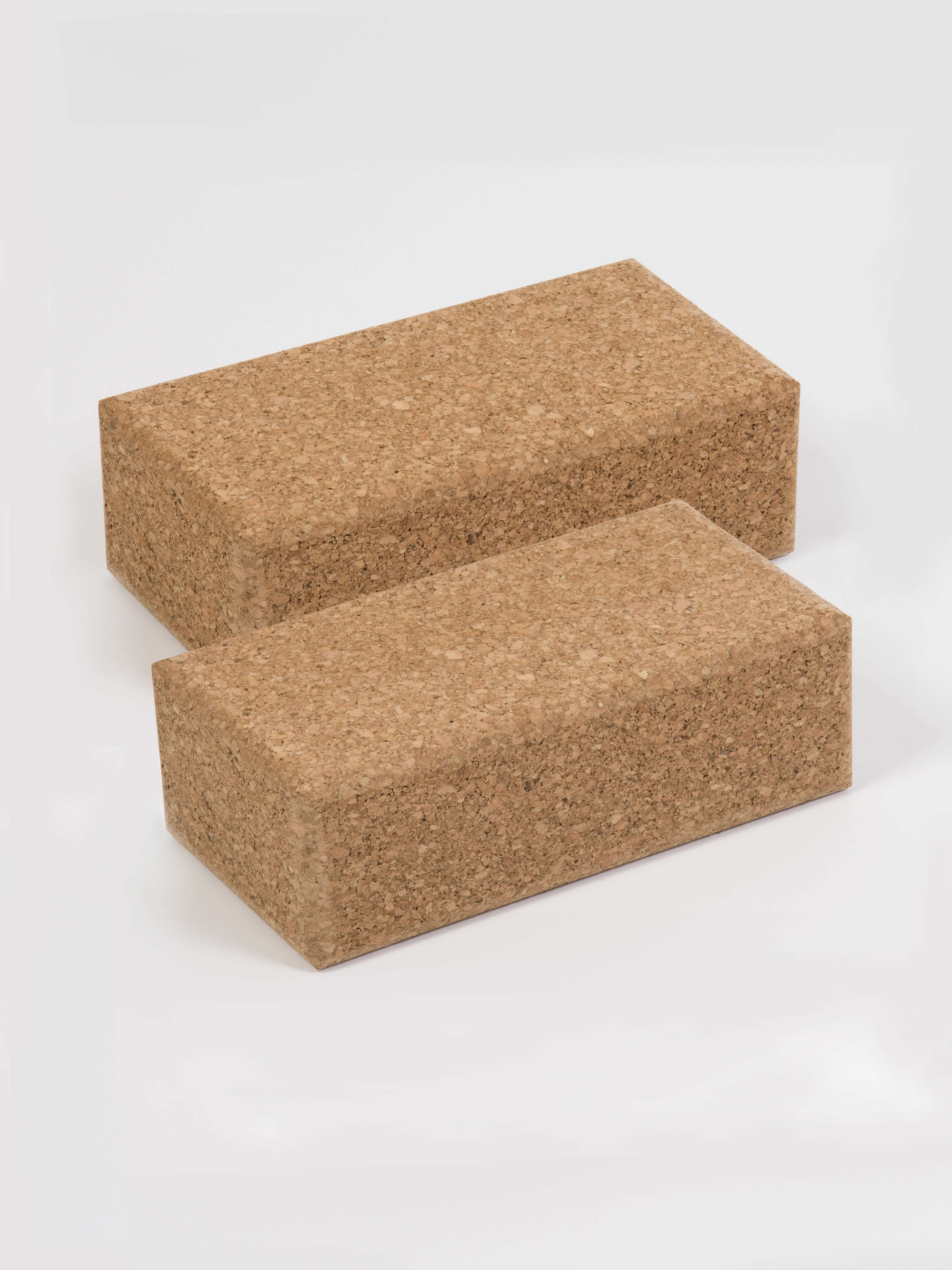 Yoga Studio Standard Cork Brick Twin Pack